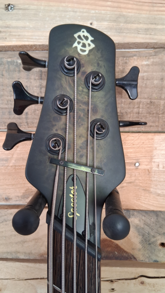 Preview: Spector NS Dimension MS 5, Haunted Moss Matte, Demomodell